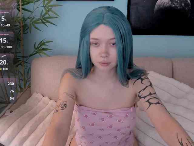 DragonFlya webcam