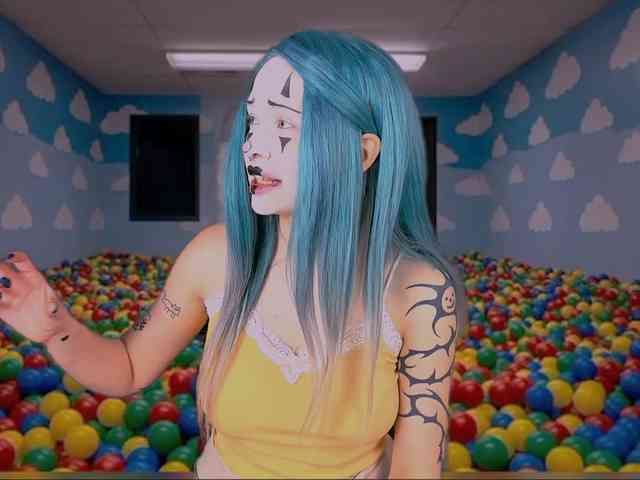 DragonFlya webcam