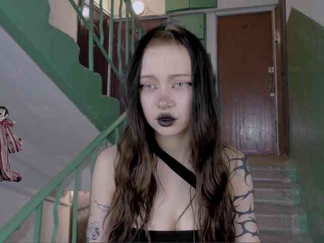 DragonFlya webcam