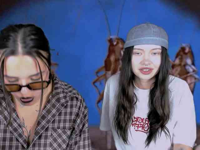 DragonFlya webcam