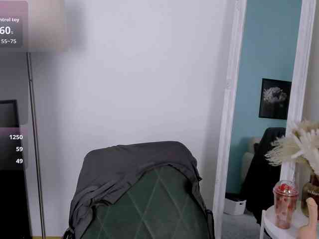 DragonFlya webcam