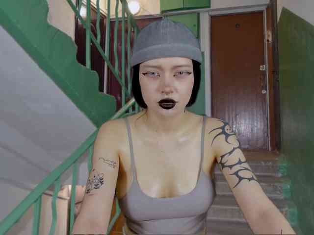 DragonFlya webcam