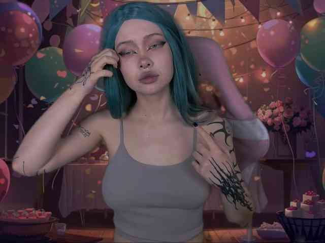DragonFlya webcam