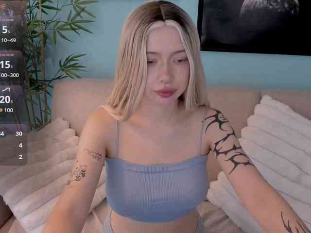 DragonFlya webcam