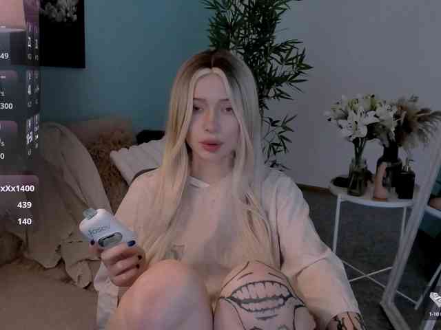 DragonFlya webcam