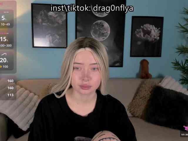 DragonFlya webcam