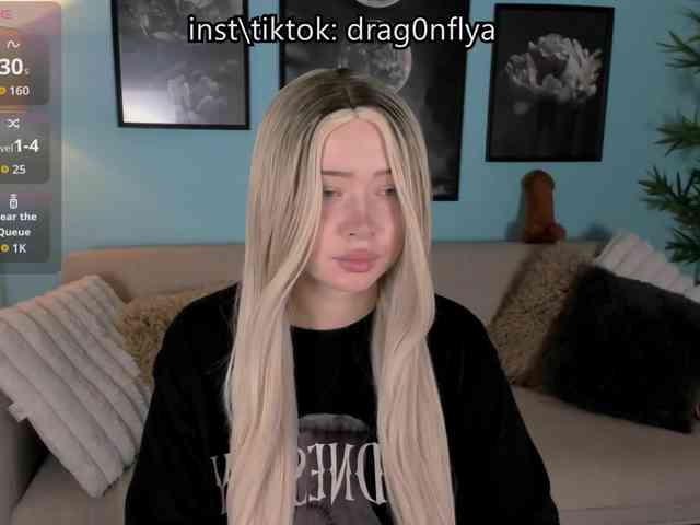 DragonFlya webcam