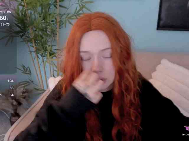 DragonFlya webcam