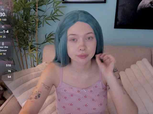 DragonFlya webcam