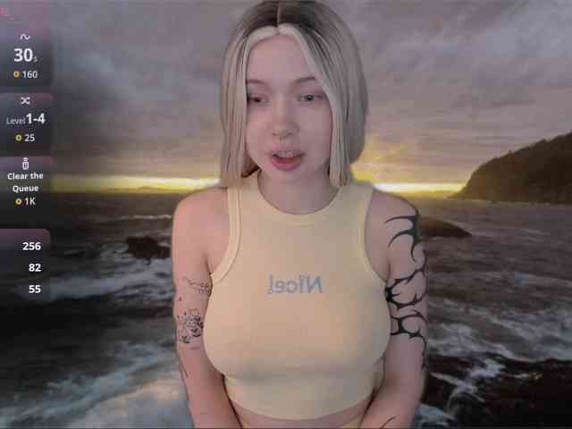 DragonFlya webcam