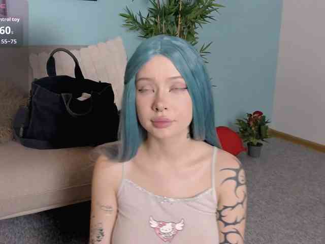 DragonFlya webcam
