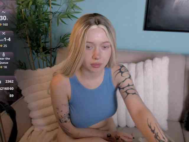 DragonFlya webcam