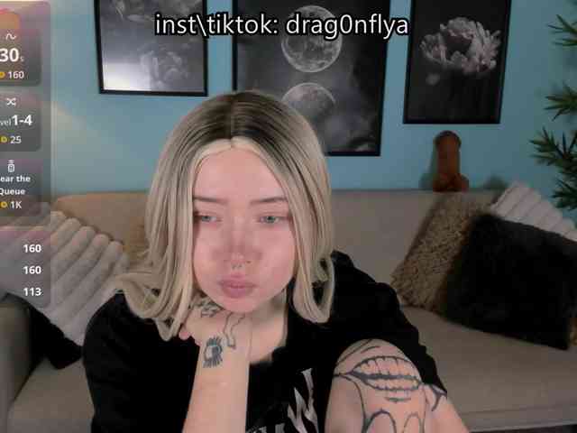 DragonFlya webcam