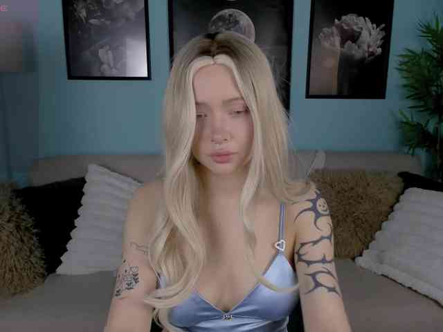 DragonFlya webcam