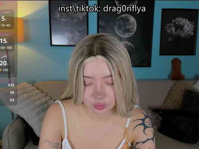 DragonFlya webcam