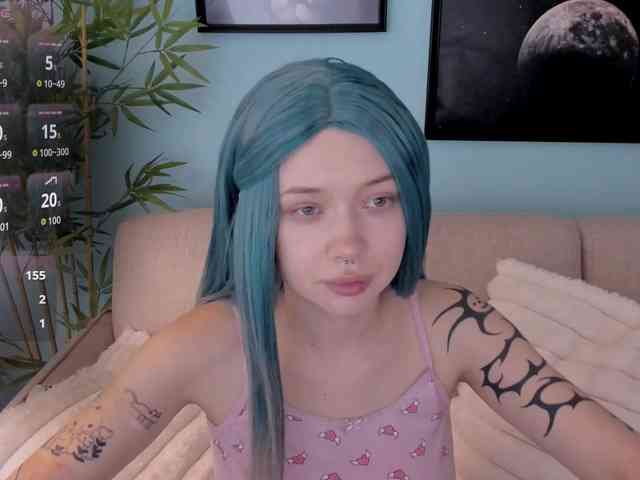 DragonFlya webcam