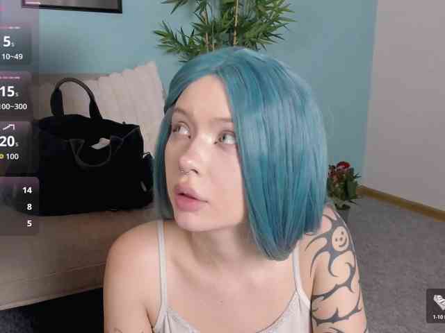 DragonFlya webcam