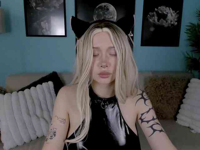 DragonFlya webcam