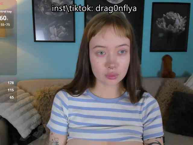 DragonFlya webcam