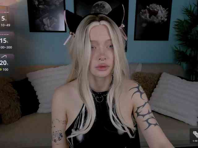 DragonFlya webcam