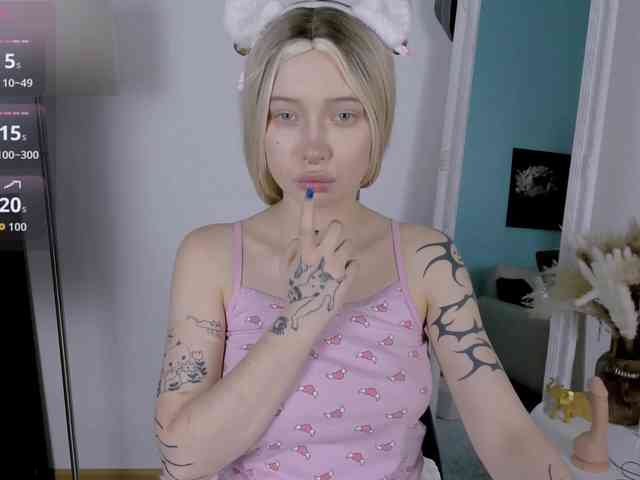 DragonFlya webcam