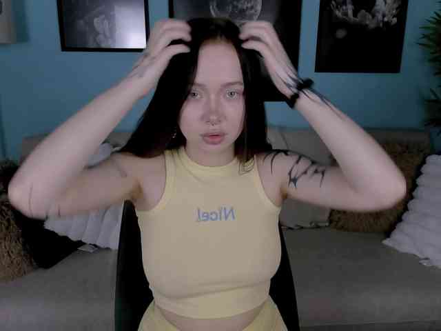 DragonFlya webcam