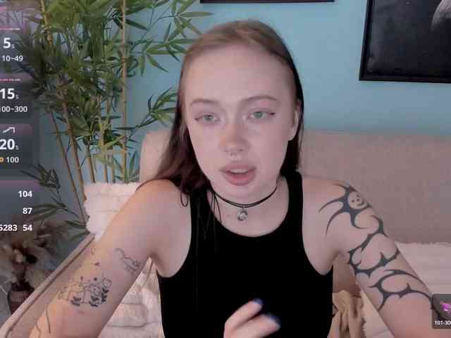 DragonFlya webcam