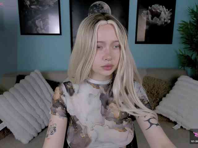 DragonFlya webcam