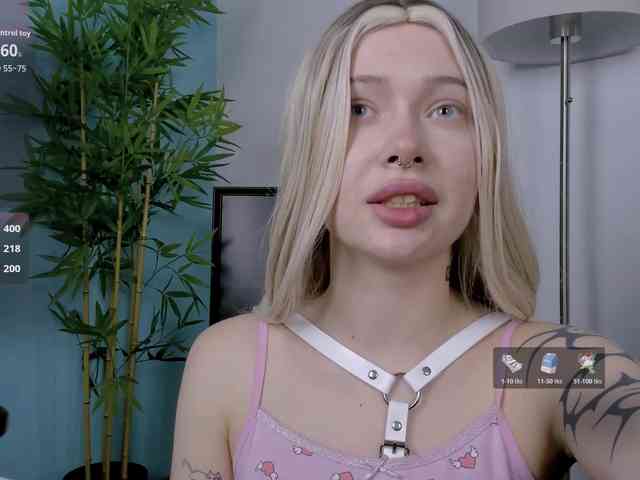 DragonFlya webcam