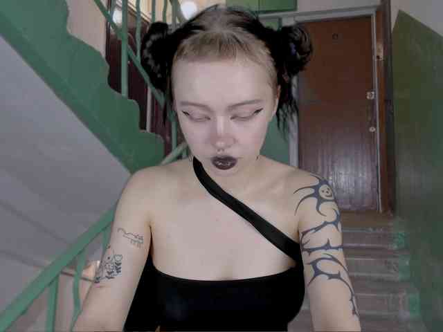 DragonFlya webcam