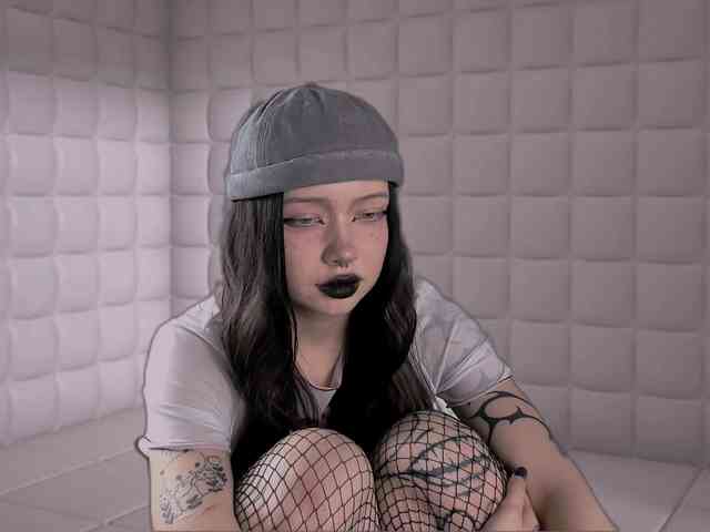 DragonFlya webcam