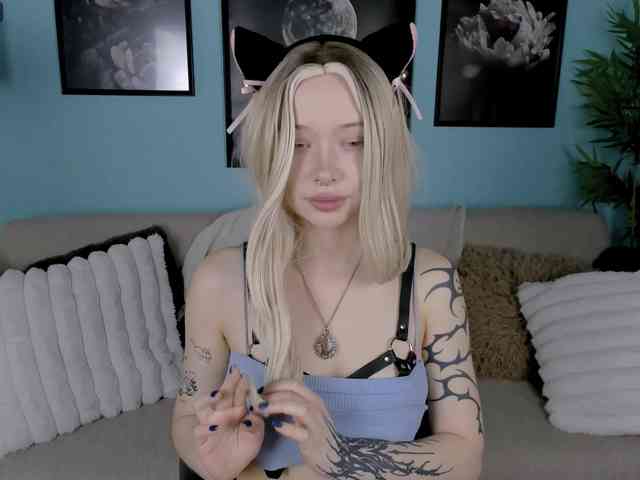 DragonFlya webcam