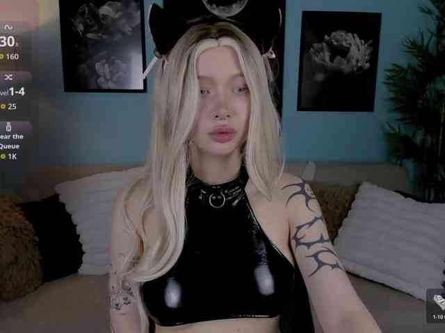 DragonFlya webcam