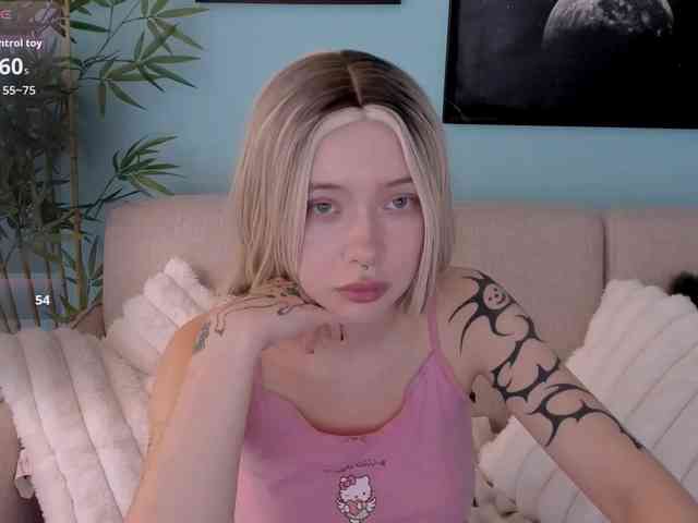DragonFlya webcam