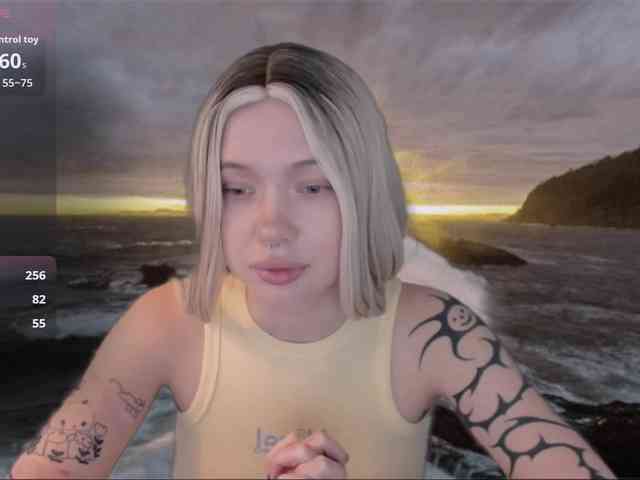 DragonFlya webcam