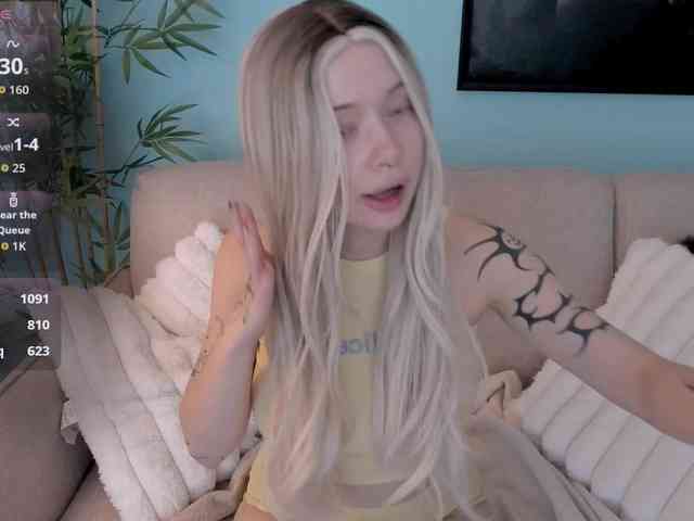 DragonFlya webcam