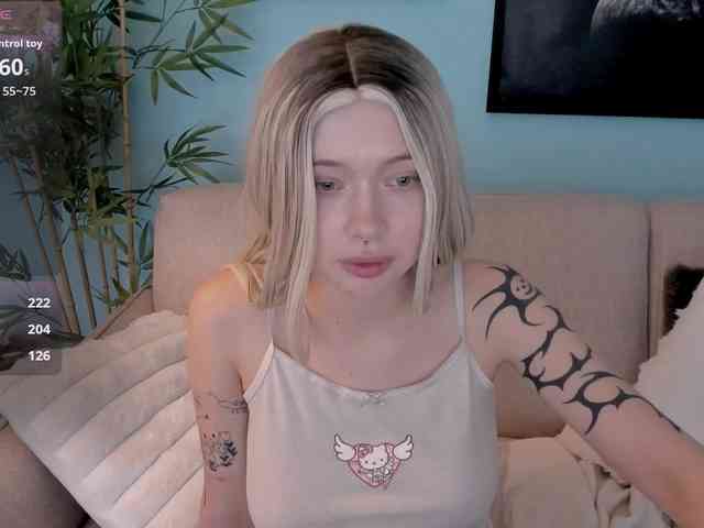 DragonFlya webcam