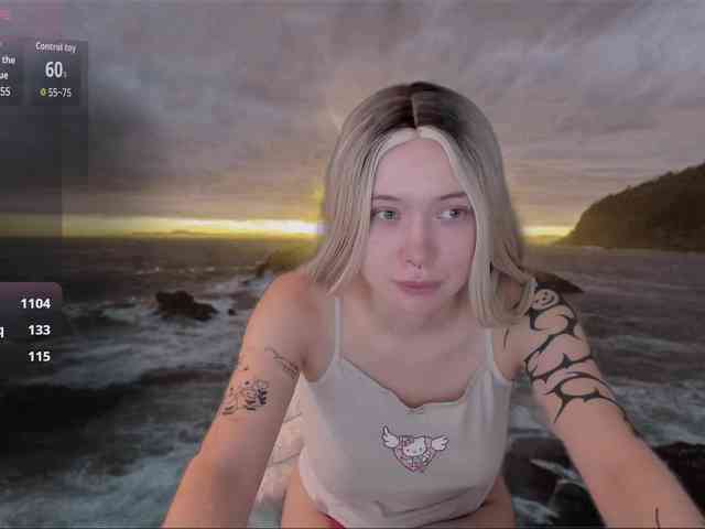 DragonFlya webcam
