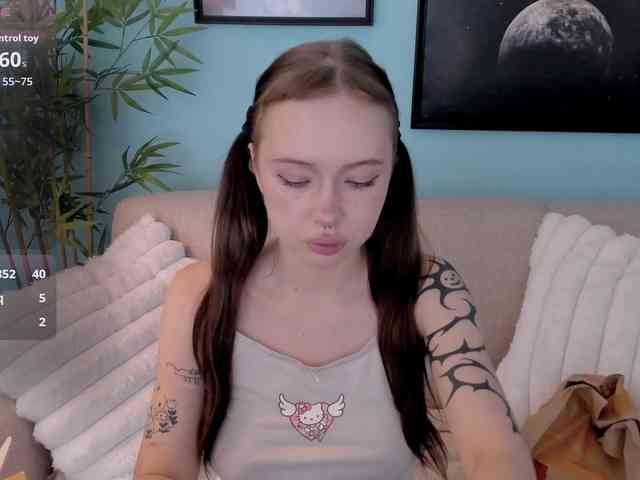 DragonFlya webcam