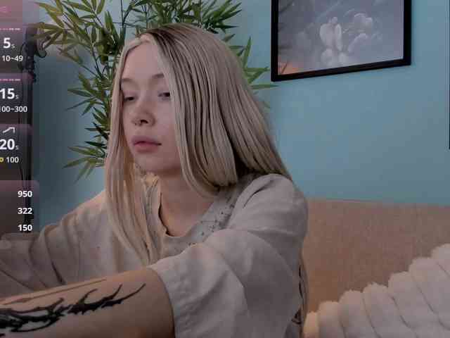 DragonFlya webcam