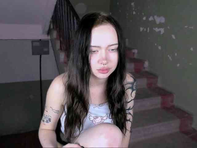 DragonFlya webcam