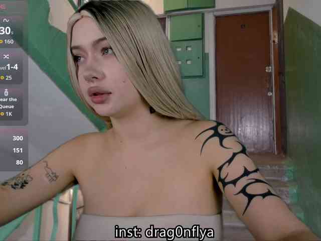 DragonFlya webcam