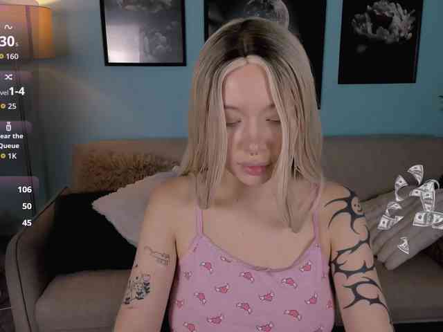 DragonFlya webcam