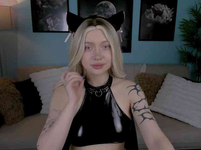 DragonFlya webcam