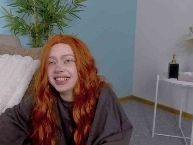 DragonFlya webcam