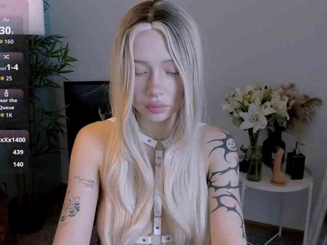 DragonFlya webcam