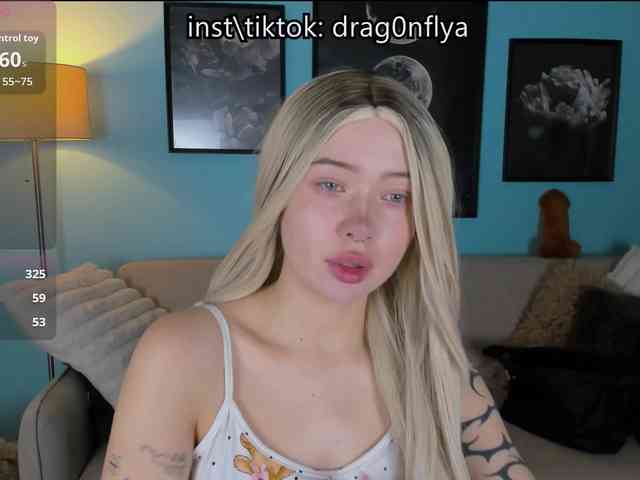 DragonFlya webcam