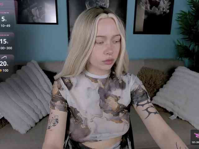 DragonFlya webcam