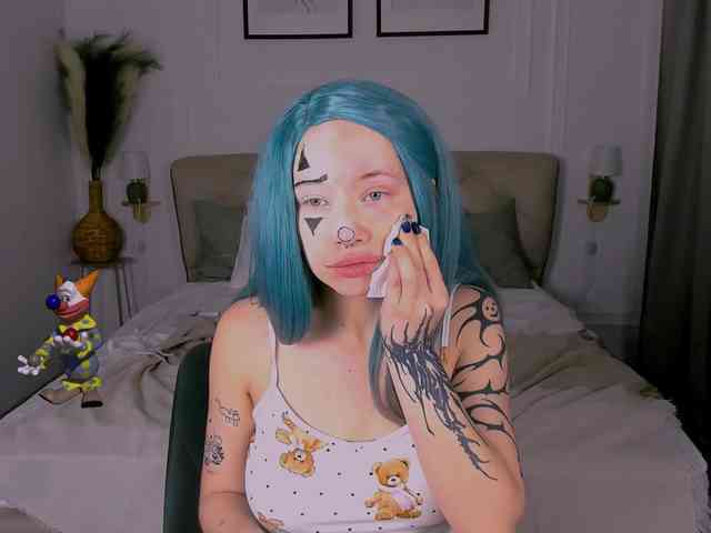 DragonFlya webcam