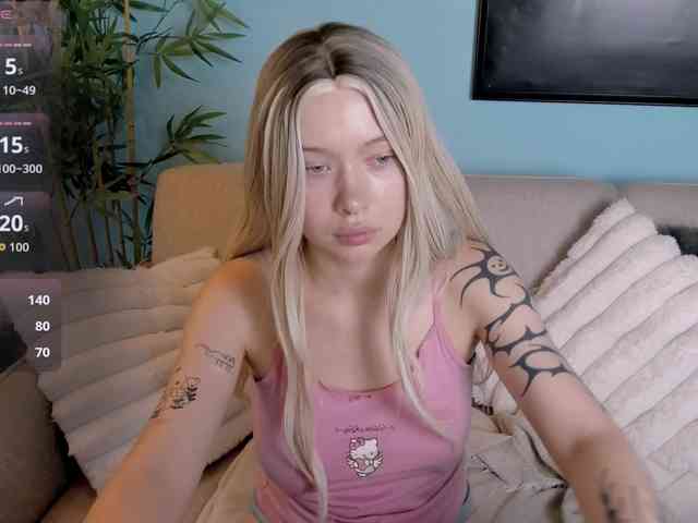 DragonFlya webcam